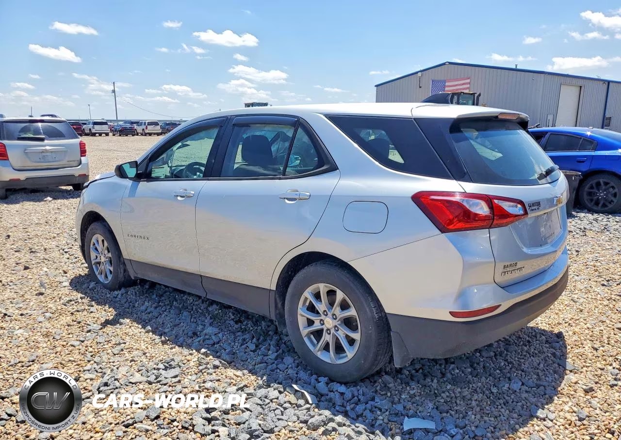 2019 Chevrolet Equinox Ls VIN:3GNAXHEV1KL229738 - 2
