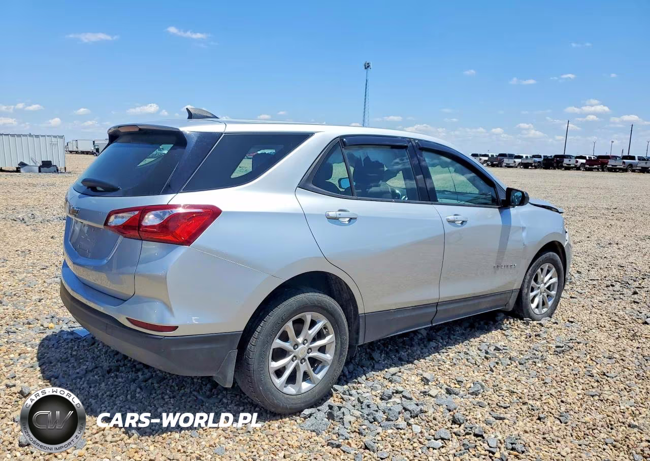 2019 Chevrolet Equinox Ls VIN:3GNAXHEV1KL229738 - 3