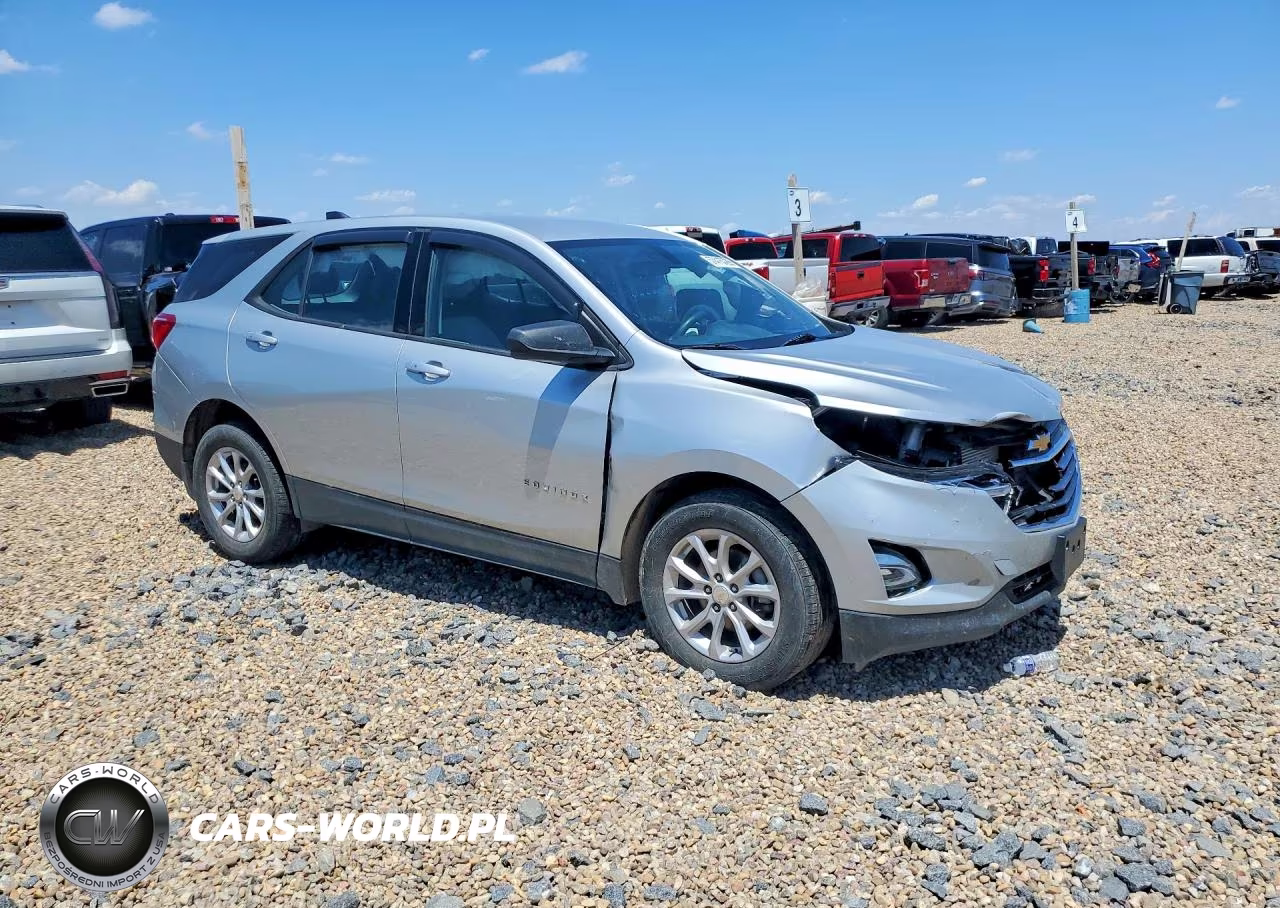2019 Chevrolet Equinox Ls VIN:3GNAXHEV1KL229738 - 4