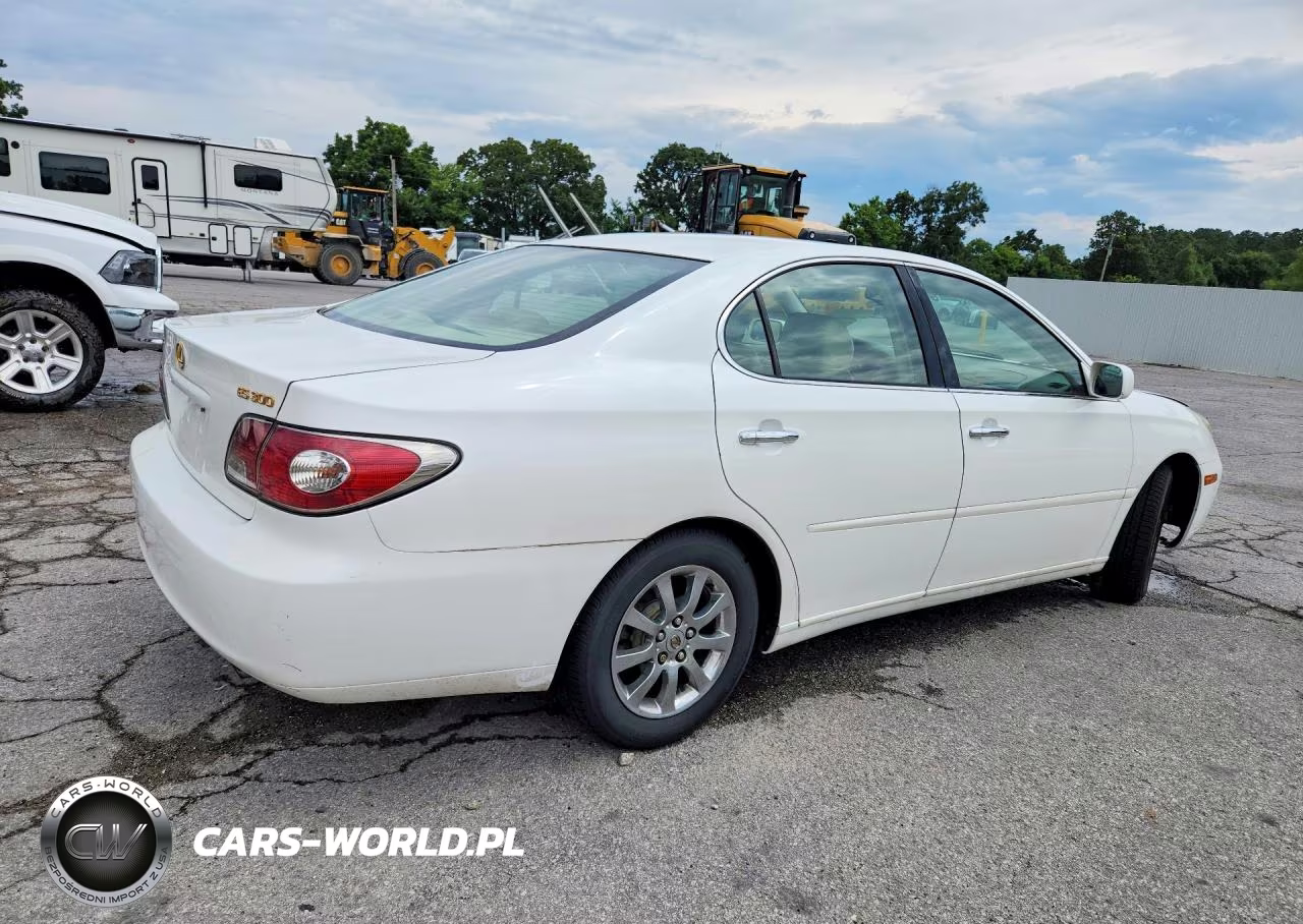 2003 Lexus Es 300 VIN:JTHBF30G430104516 - 3