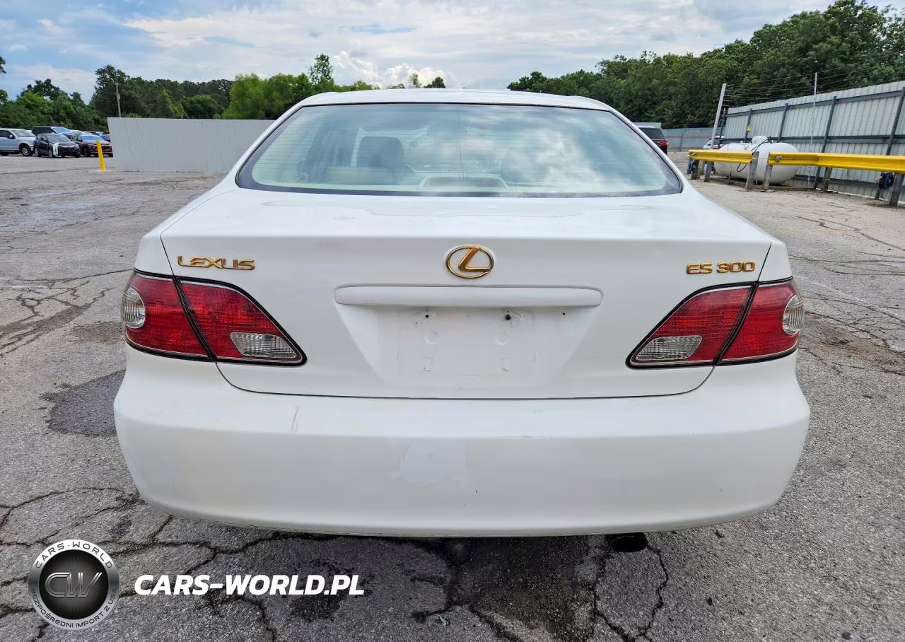 2003 Lexus Es 300 VIN:JTHBF30G430104516 - 6