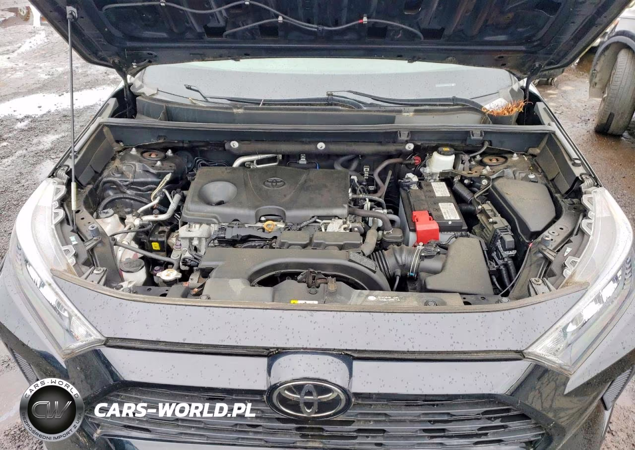 2019 Toyota Rav4 Le VIN:2T3F1RFV3KC038367 - 12