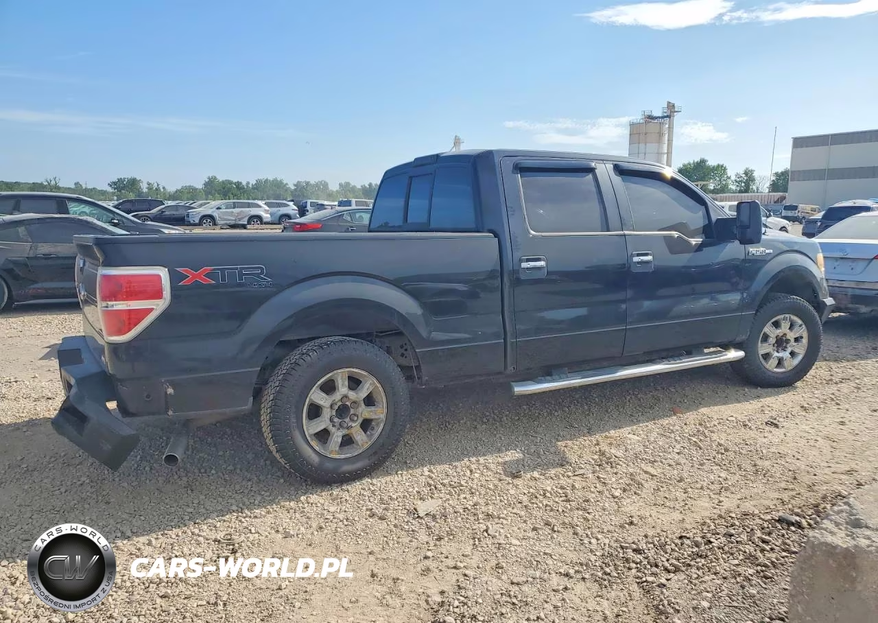 2010 Ford F150 Supercrew VIN:1FTFW1EV1AFD58239 - 3