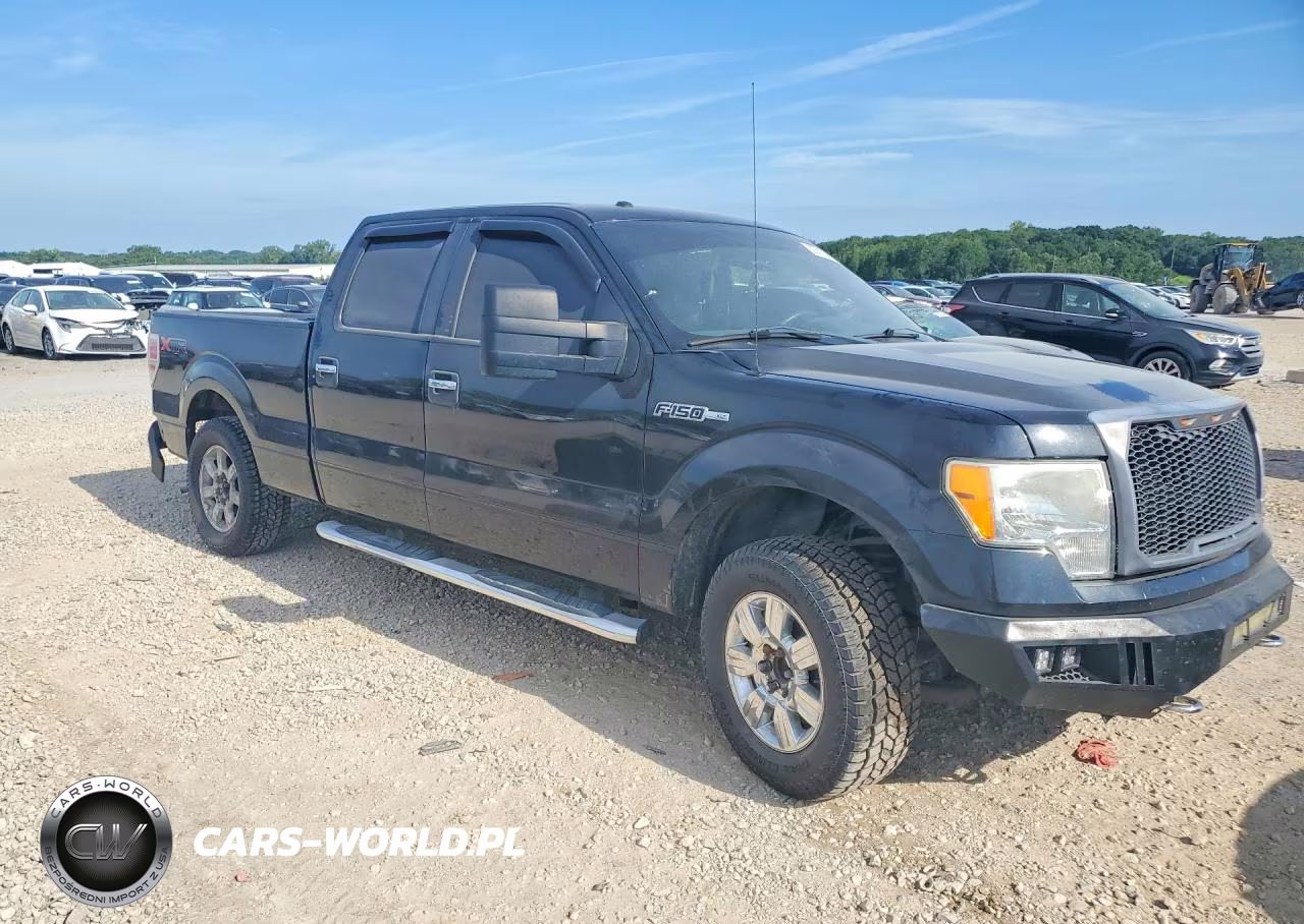 2010 Ford F150 Supercrew VIN:1FTFW1EV1AFD58239 - 4
