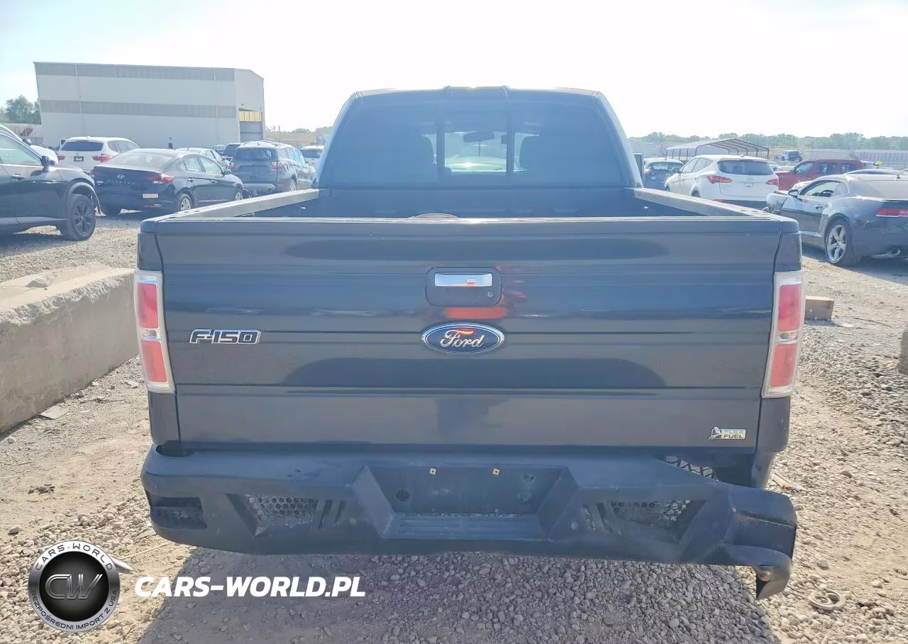 2010 Ford F150 Supercrew VIN:1FTFW1EV1AFD58239 - 6