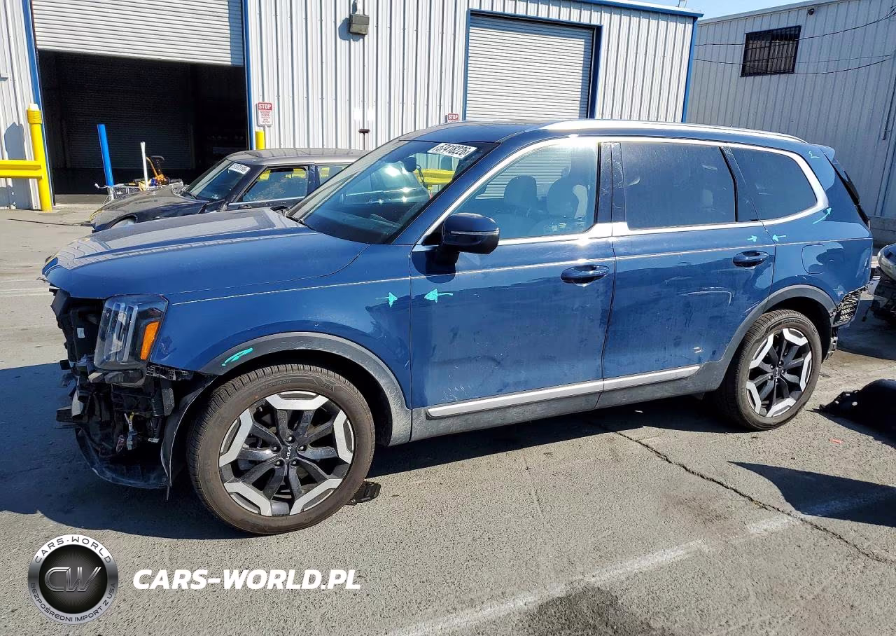 2024 Kia Telluride Ex VIN:5XYP3DGCXRG426220 - 1