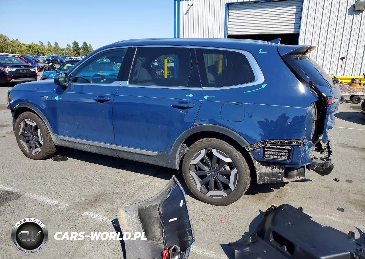 2024 Kia Telluride Ex VIN:5XYP3DGCXRG426220 - 2