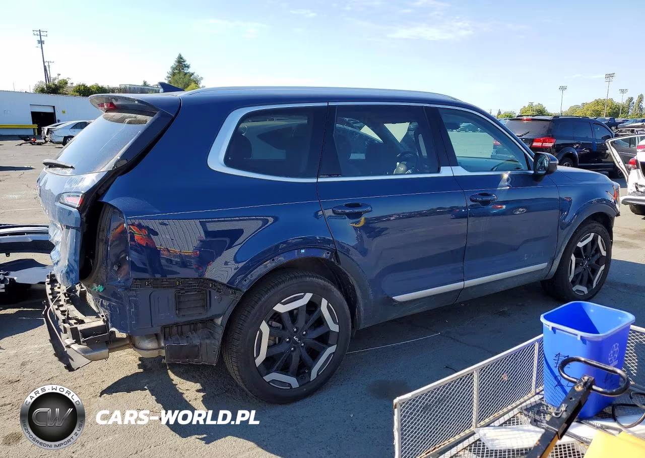 2024 Kia Telluride Ex VIN:5XYP3DGCXRG426220 - 3