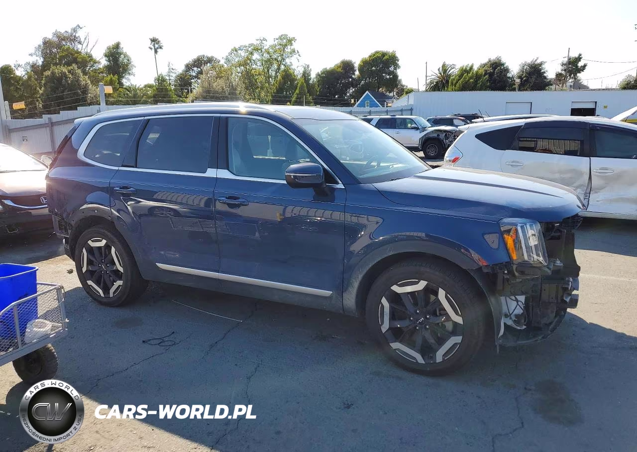 2024 Kia Telluride Ex VIN:5XYP3DGCXRG426220 - 4
