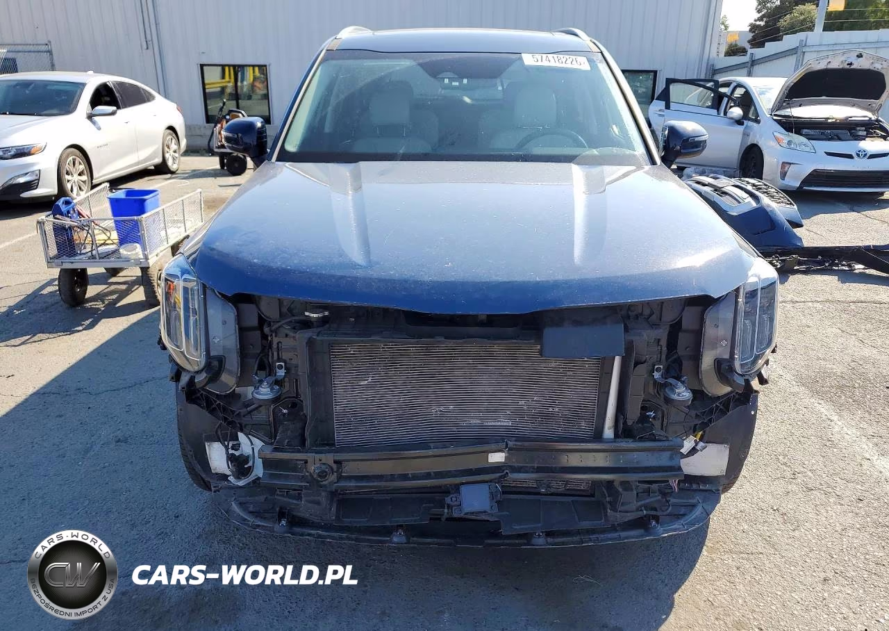2024 Kia Telluride Ex VIN:5XYP3DGCXRG426220 - 5
