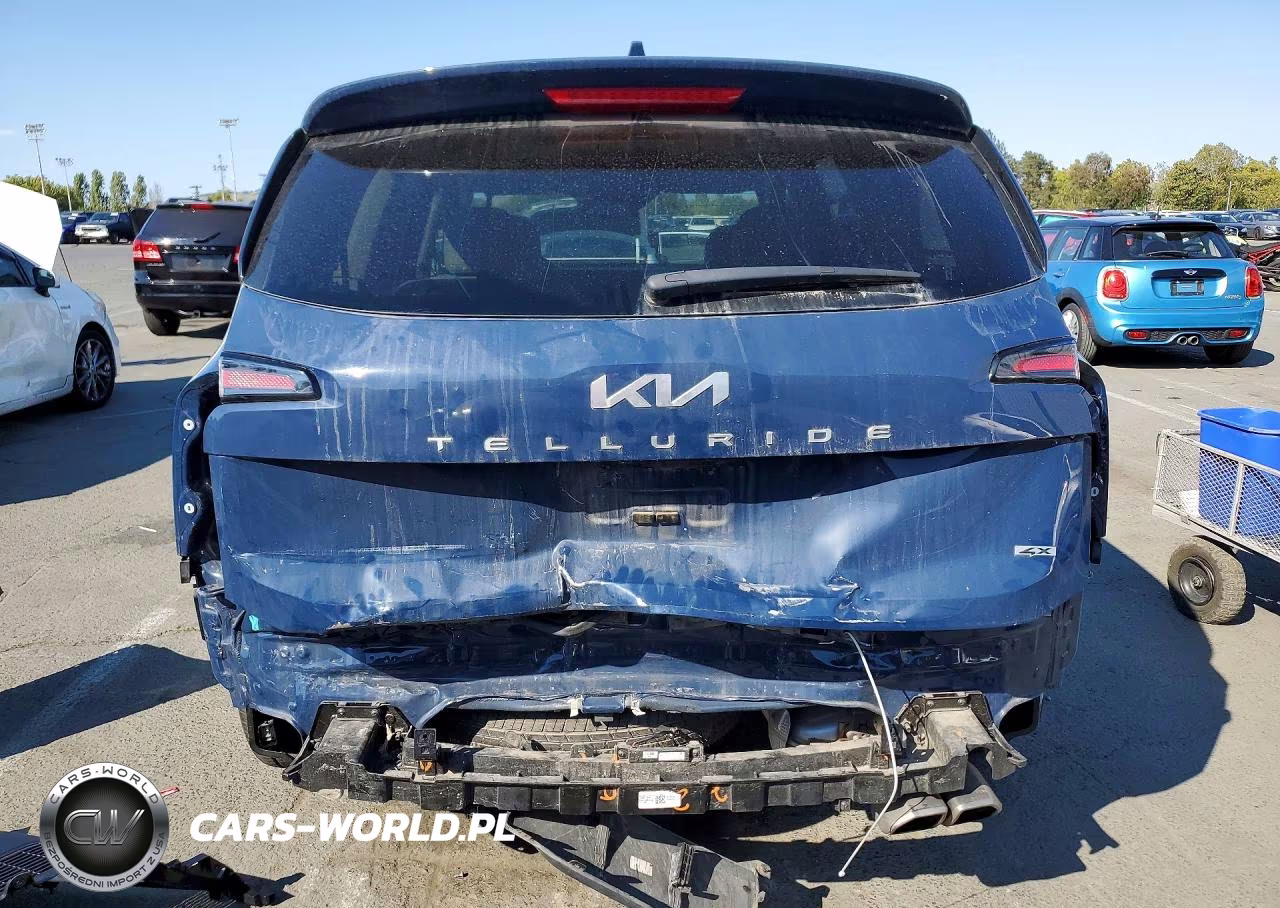2024 Kia Telluride Ex VIN:5XYP3DGCXRG426220 - 6