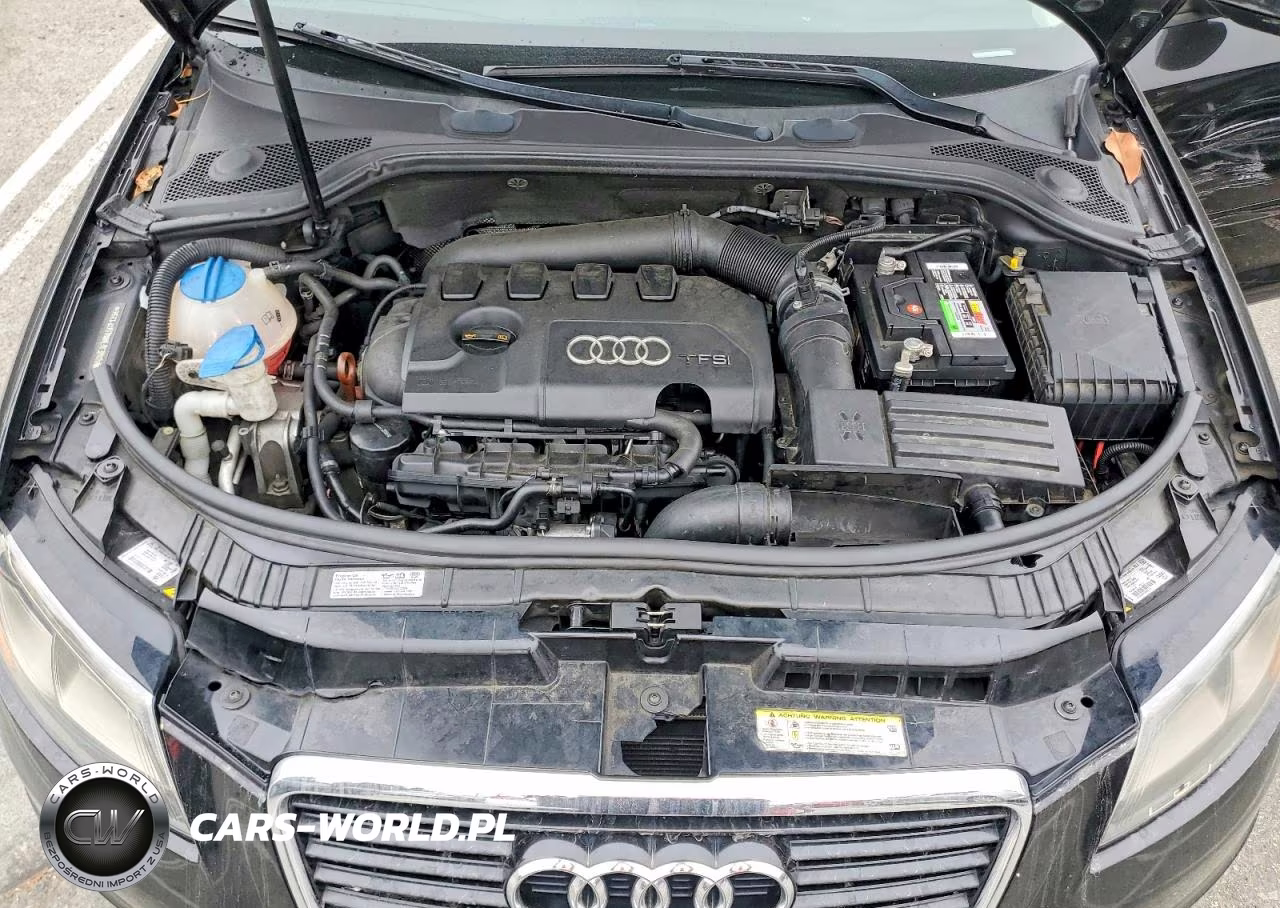 2011 Audi A3 Premium Plus VIN:WAUKEAFM8BA081396 - 11