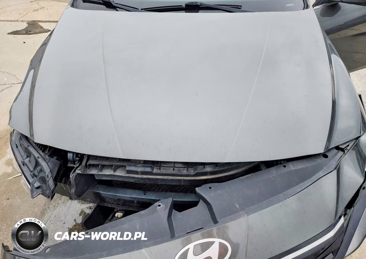 2025 Hyundai Elantra Sel VIN:KMHLS4DG8SU913134 - 11