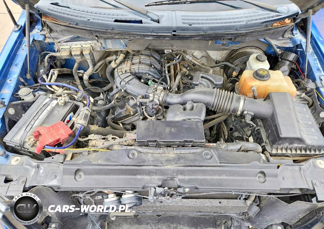 2011 Ford F150 Supercrew VIN:1FTEW1CM2BKD57664 - 11