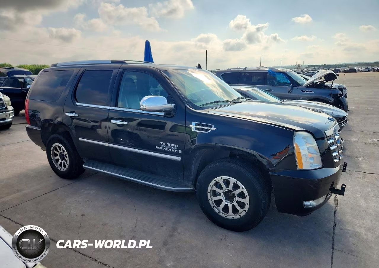 2009 Cadillac Escalade Luxury VIN:1GYFK232X9R144056 - 4