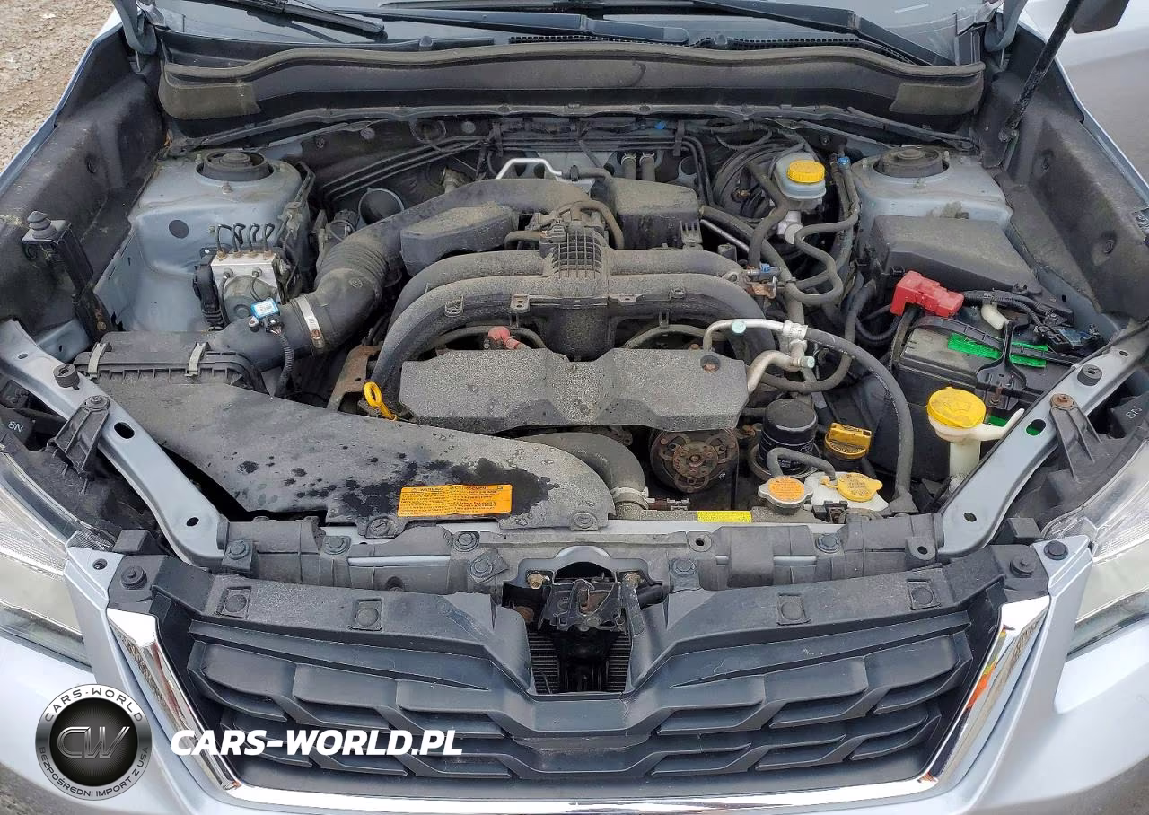 2017 Subaru Forester 2.5I Premium VIN:JF2SJAEC2HH442713 - 12