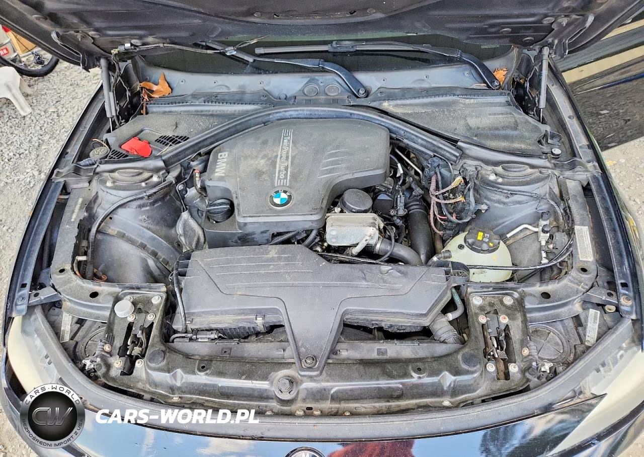 2013 BMW 328 Xi Sulev VIN:WBA3B5C54DF592904 - 11