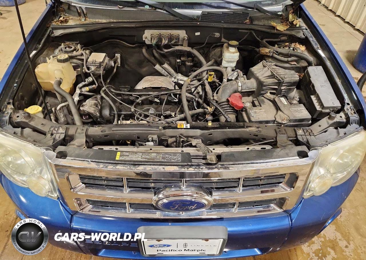 2008 Ford Escape Xlt VIN:1FMCU03Z88KB25321 - 12