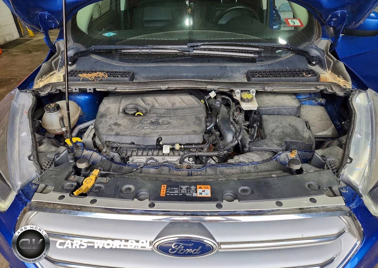 2018 Ford Escape Sel VIN:1FMCU9HD6JUD46007 - 12