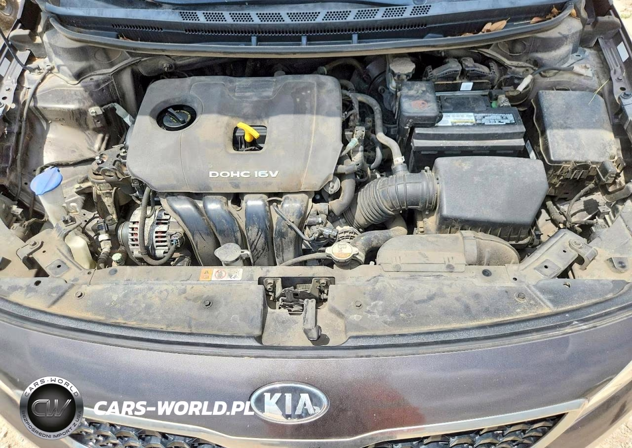 2017 Kia Forte Lx VIN:3KPFL4A76HE131957 - 11