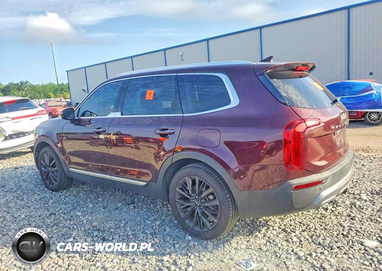 2022 Kia Telluride Sx VIN:5XYP54HC1NG296492 - 2