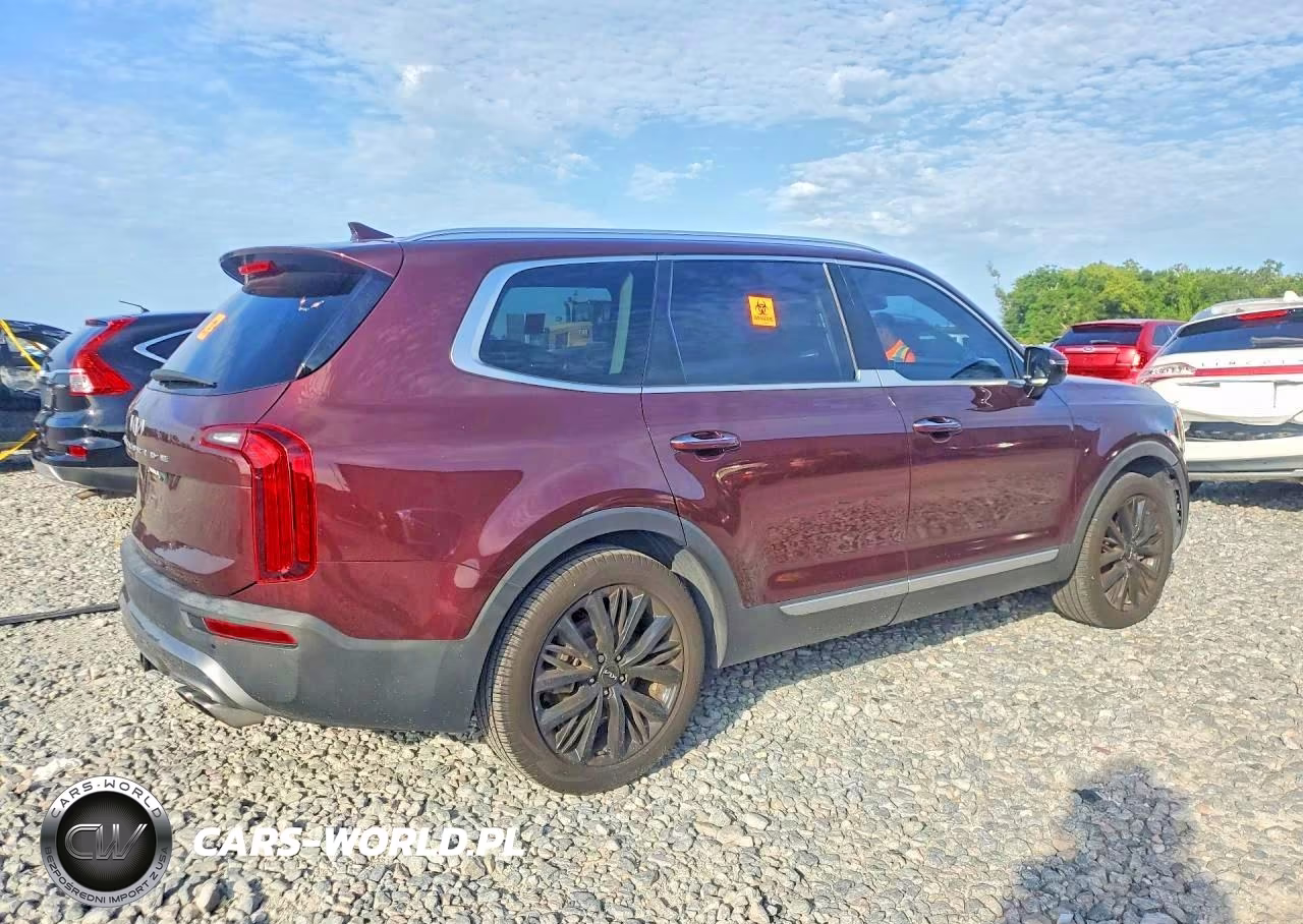 2022 Kia Telluride Sx VIN:5XYP54HC1NG296492 - 3