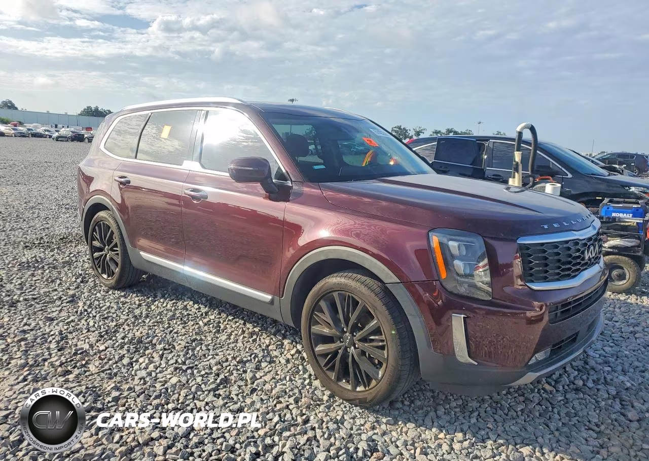 2022 Kia Telluride Sx VIN:5XYP54HC1NG296492 - 4