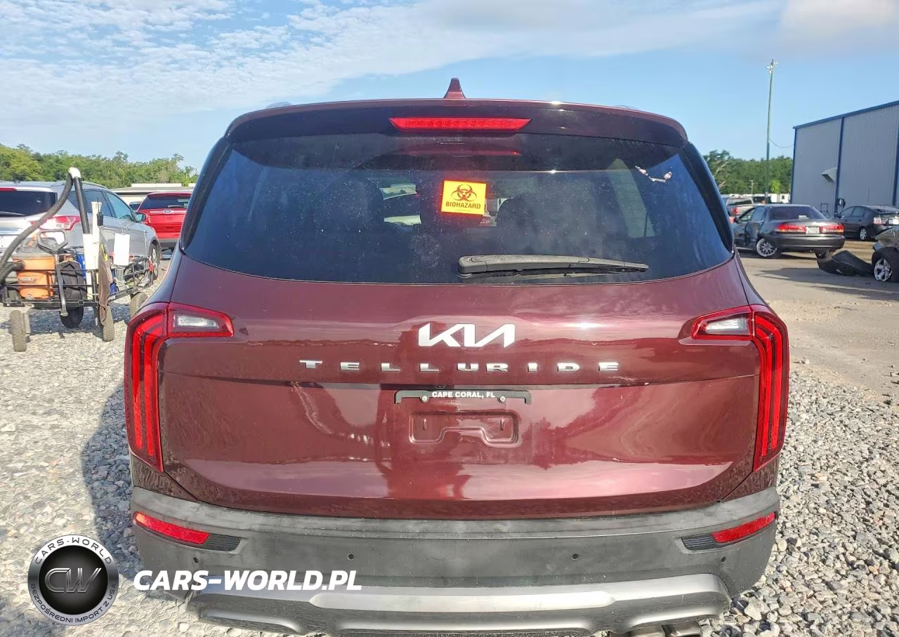2022 Kia Telluride Sx VIN:5XYP54HC1NG296492 - 6