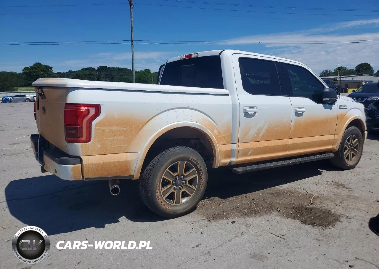 2017 Ford F150 Supercrew VIN:1FTEW1EG5HFA35335 - 3