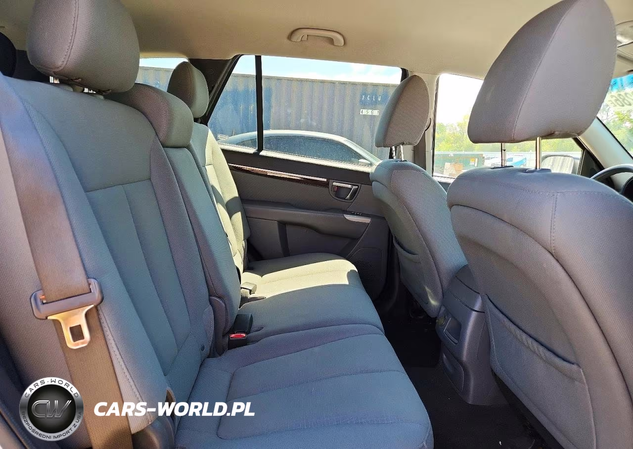 2010 Hyundai Santa Fe VIN:5NMSGDAB9AH409904 - 11
