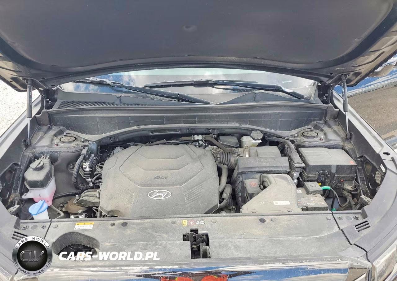 2024 Hyundai Palisade Xrt VIN:KM8R3DGE6RU709802 - 12