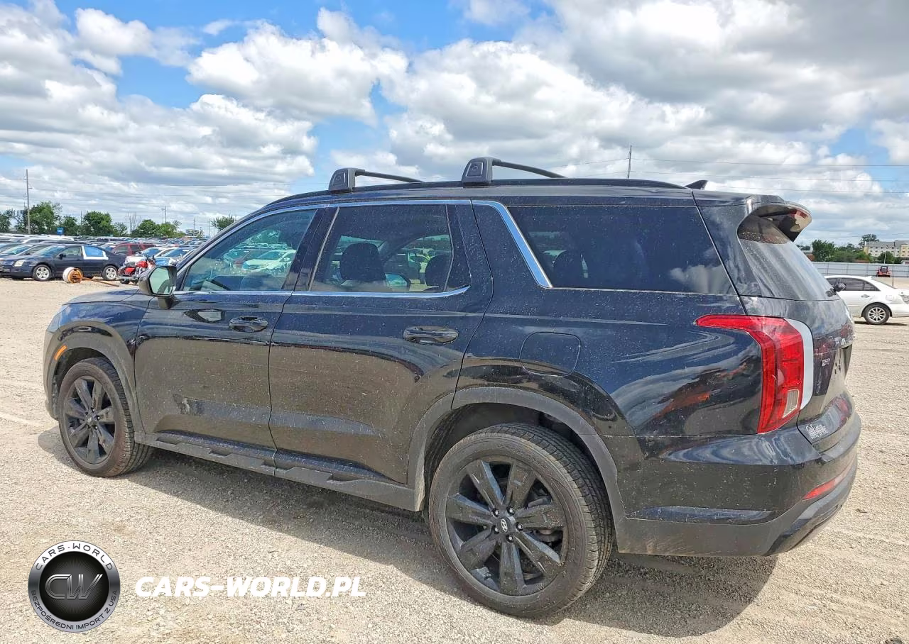 2024 Hyundai Palisade Xrt VIN:KM8R3DGE6RU709802 - 2