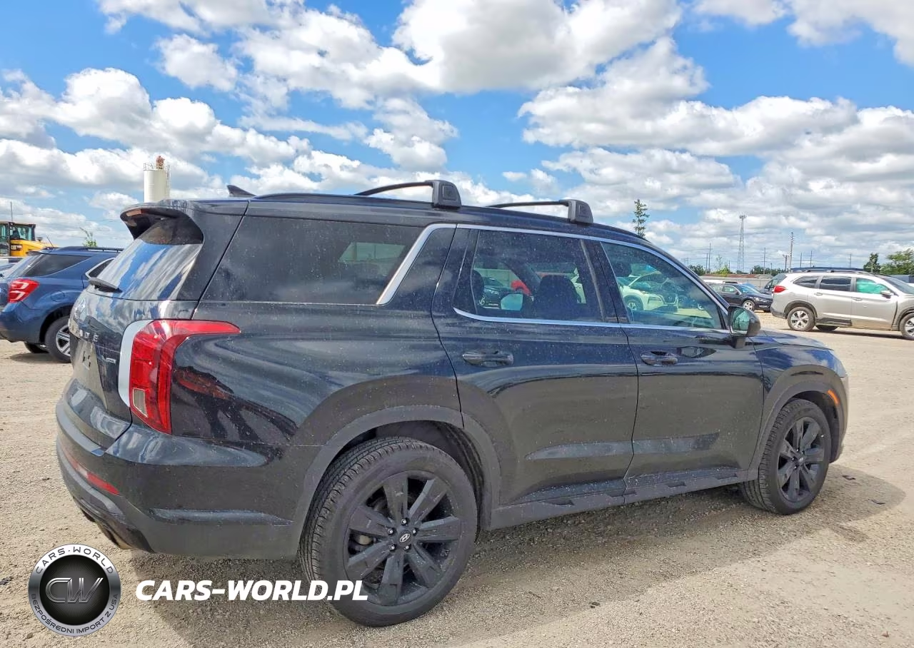 2024 Hyundai Palisade Xrt VIN:KM8R3DGE6RU709802 - 3