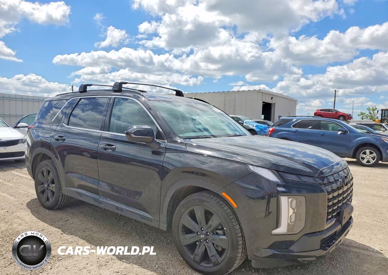 2024 Hyundai Palisade Xrt VIN:KM8R3DGE6RU709802 - 4