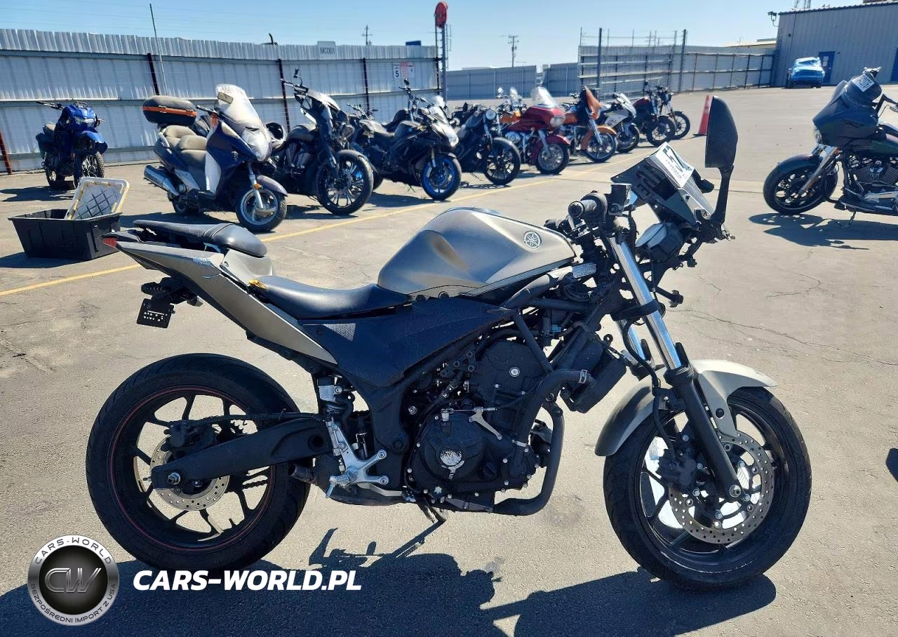 2016 Yamaha Yzfr3