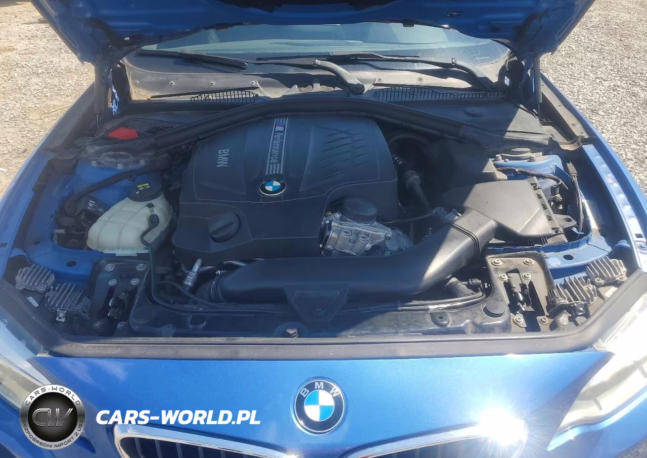 2016 BMW M235I VIN:WBA1J7C52GV289815 - 11