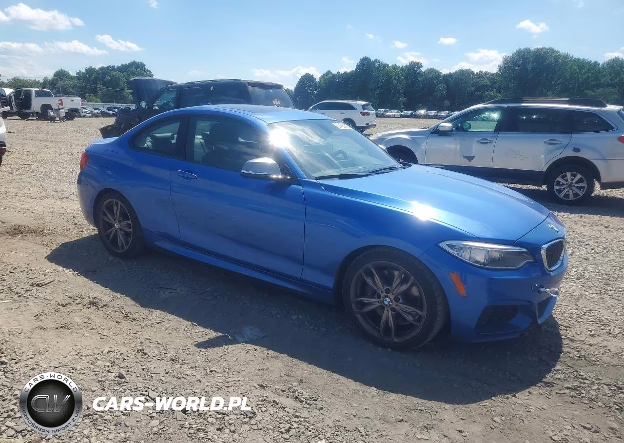 2016 BMW M235I VIN:WBA1J7C52GV289815 - 4