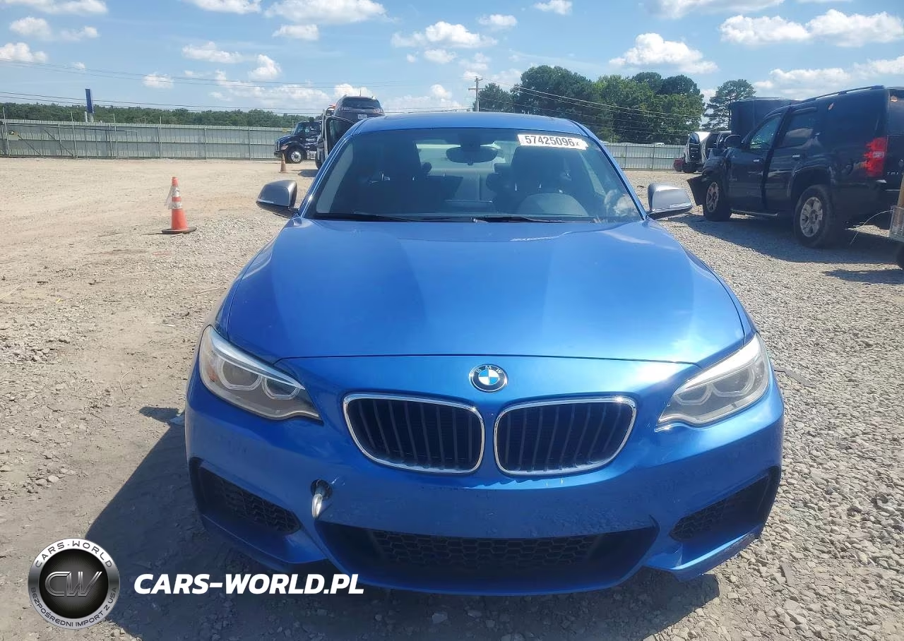 2016 BMW M235I VIN:WBA1J7C52GV289815 - 5