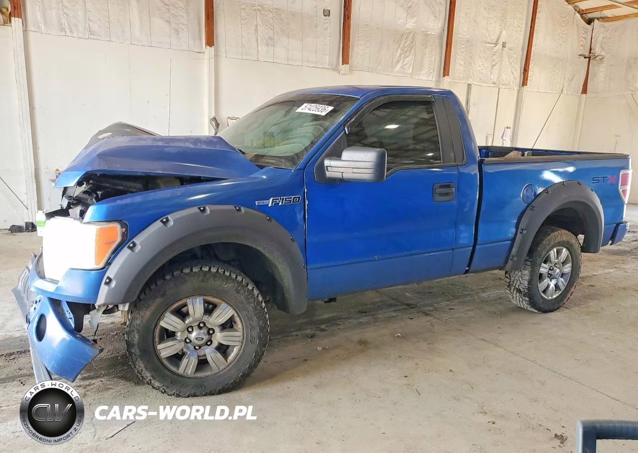 2010 Ford F150 – zdjęcie 1 z 12