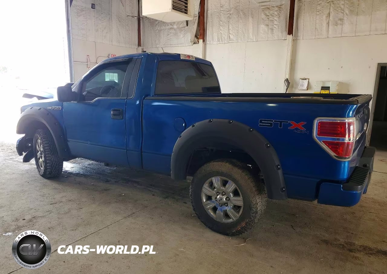 2010 Ford F150 VIN:1FTMF1EW9AFD64841 - 2