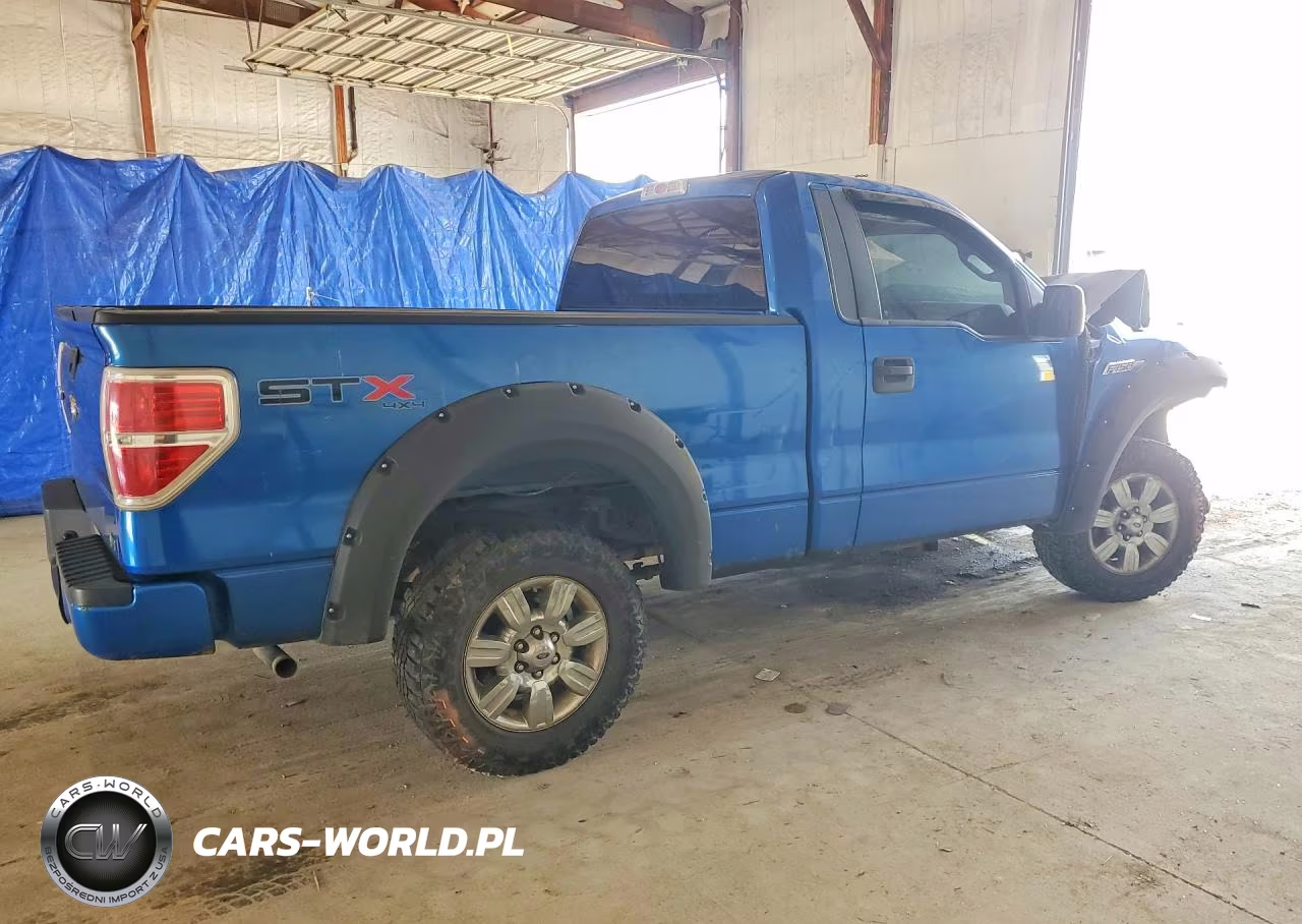 2010 Ford F150 VIN:1FTMF1EW9AFD64841 - 3