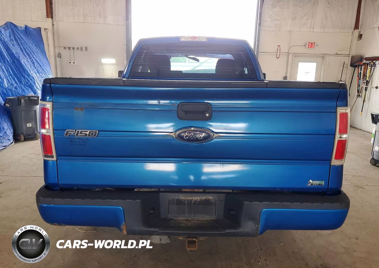 2010 Ford F150 VIN:1FTMF1EW9AFD64841 - 6