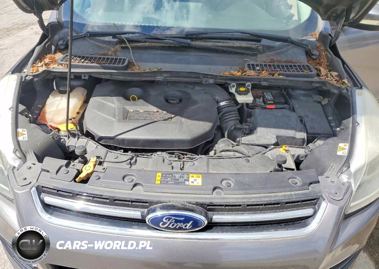 2013 Ford Escape Titanium VIN:1FMCU9J96DUB44603 - 12