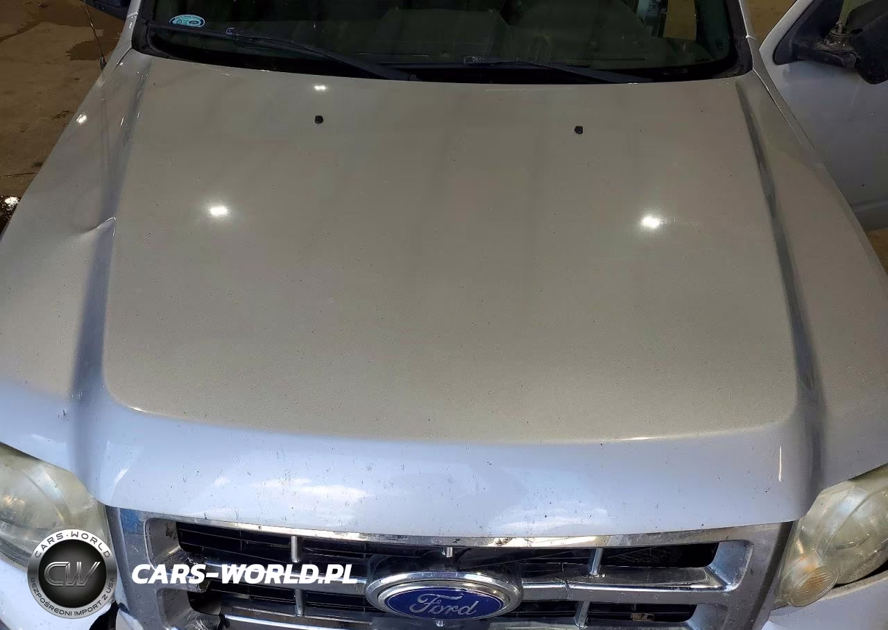 2011 Ford Escape Xlt VIN:1FMCU0DG2BKC05783 - 11