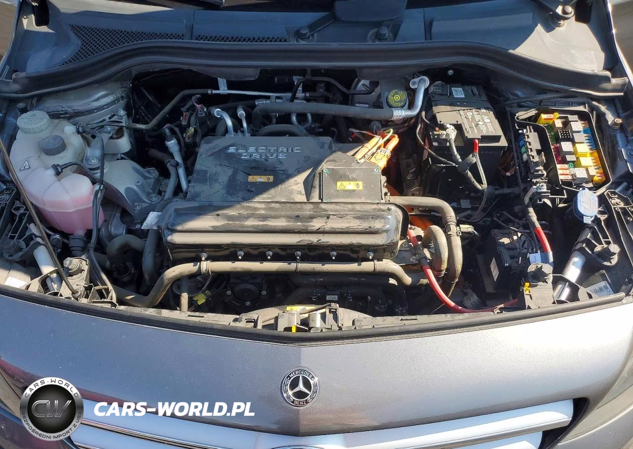 2017 Mercedes-Benz B 250E VIN:WDDVP9AB7HJ016326 - 11