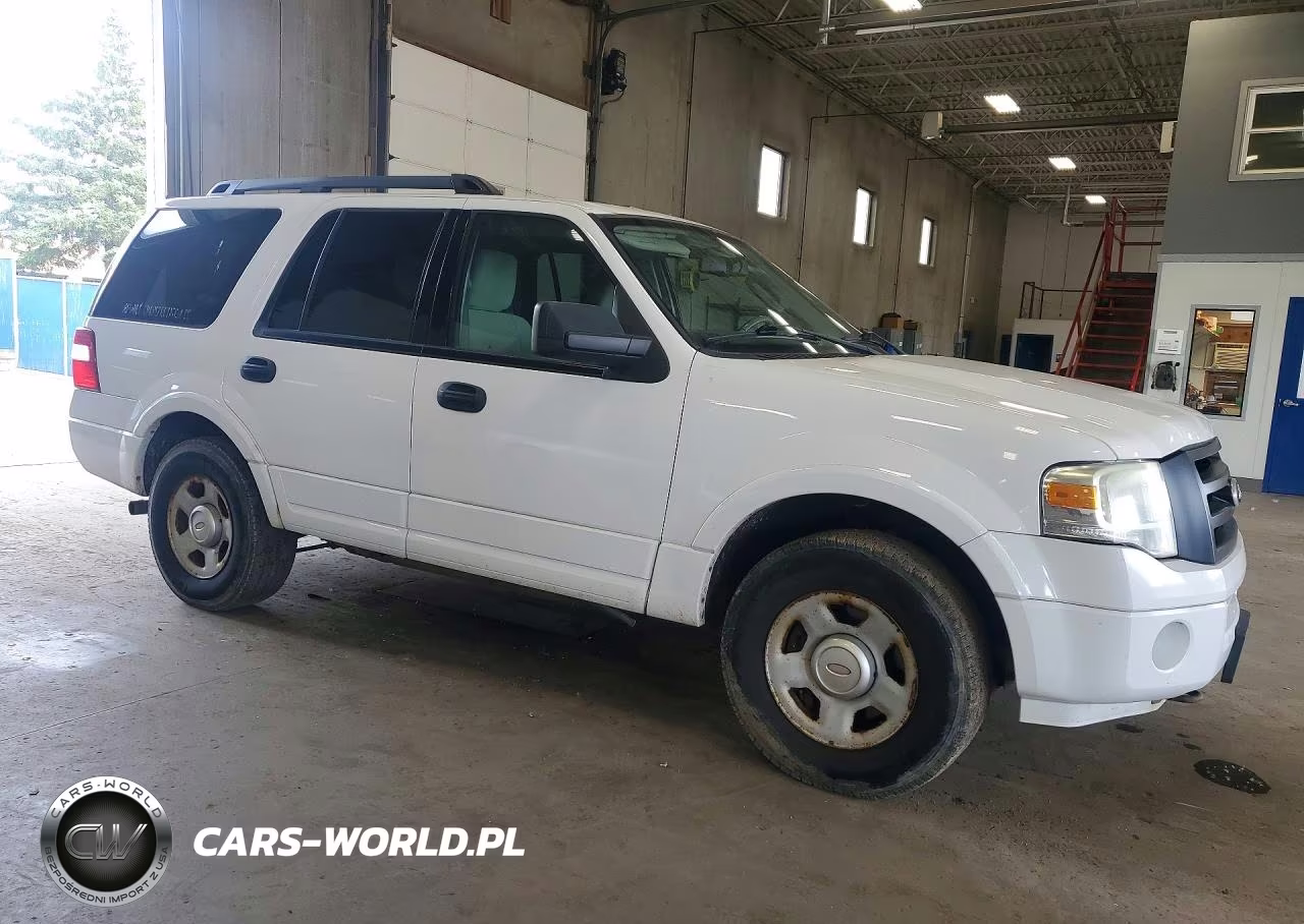 2009 Ford Expedition Xlt VIN:1FMFU16529EA71087 - 4