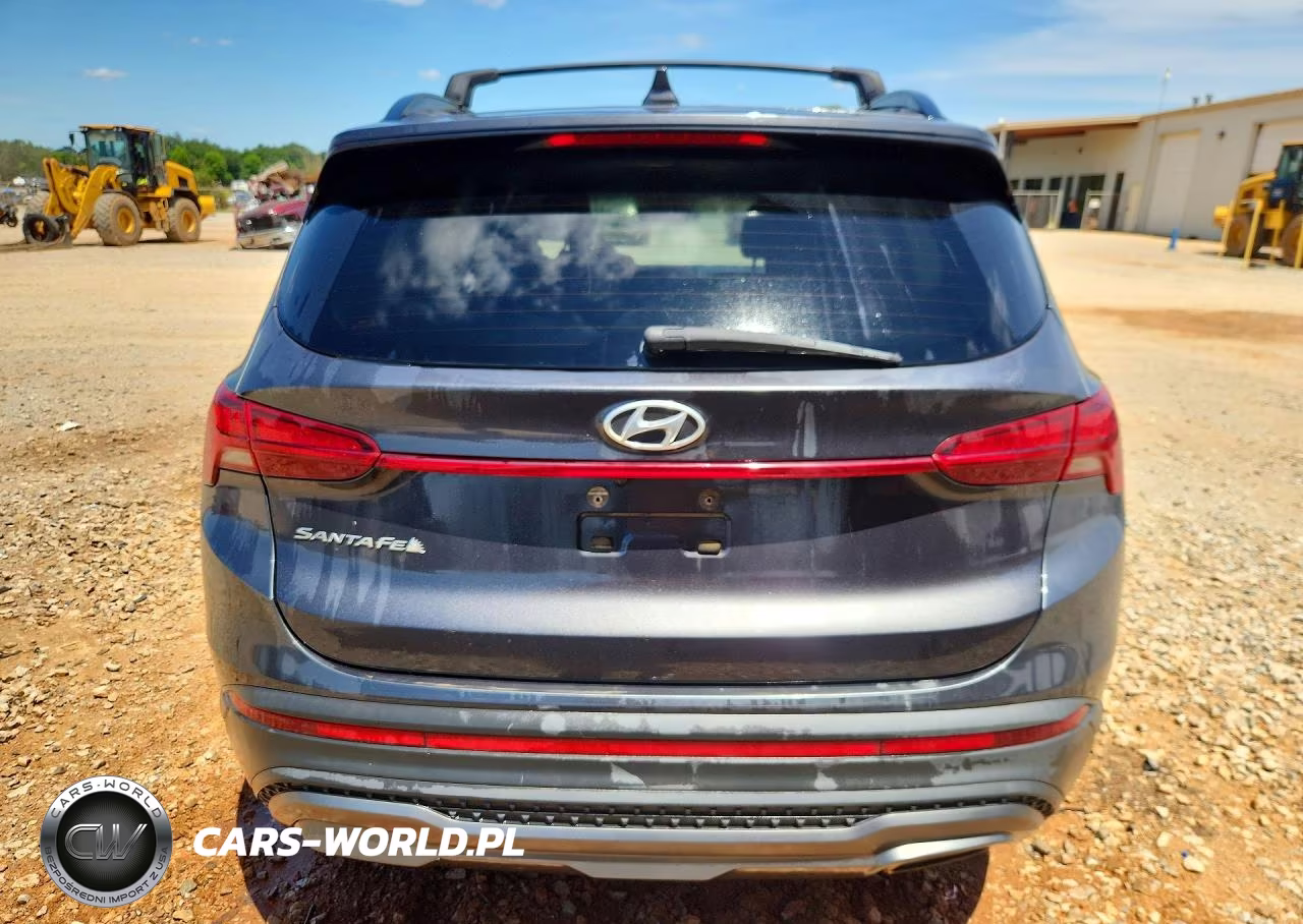 2022 Hyundai Santa Fe Xrt VIN:5NMS64AJ7NH381181 - 6