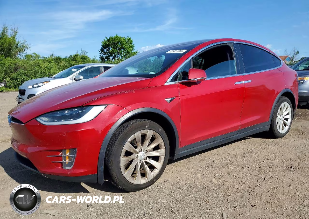 2019 Tesla Model X
