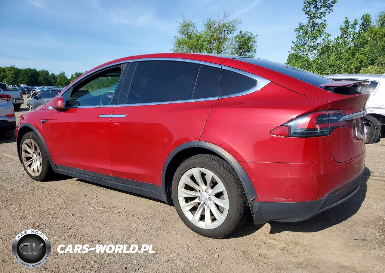 2019 Tesla Model X VIN:5YJXCBE25KF197361 - 2