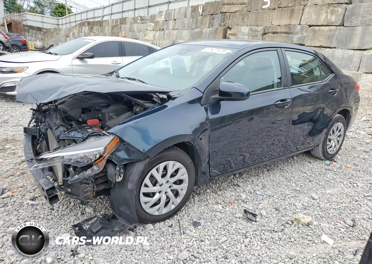 2019 Toyota Corolla L-Le-Xle-Se-